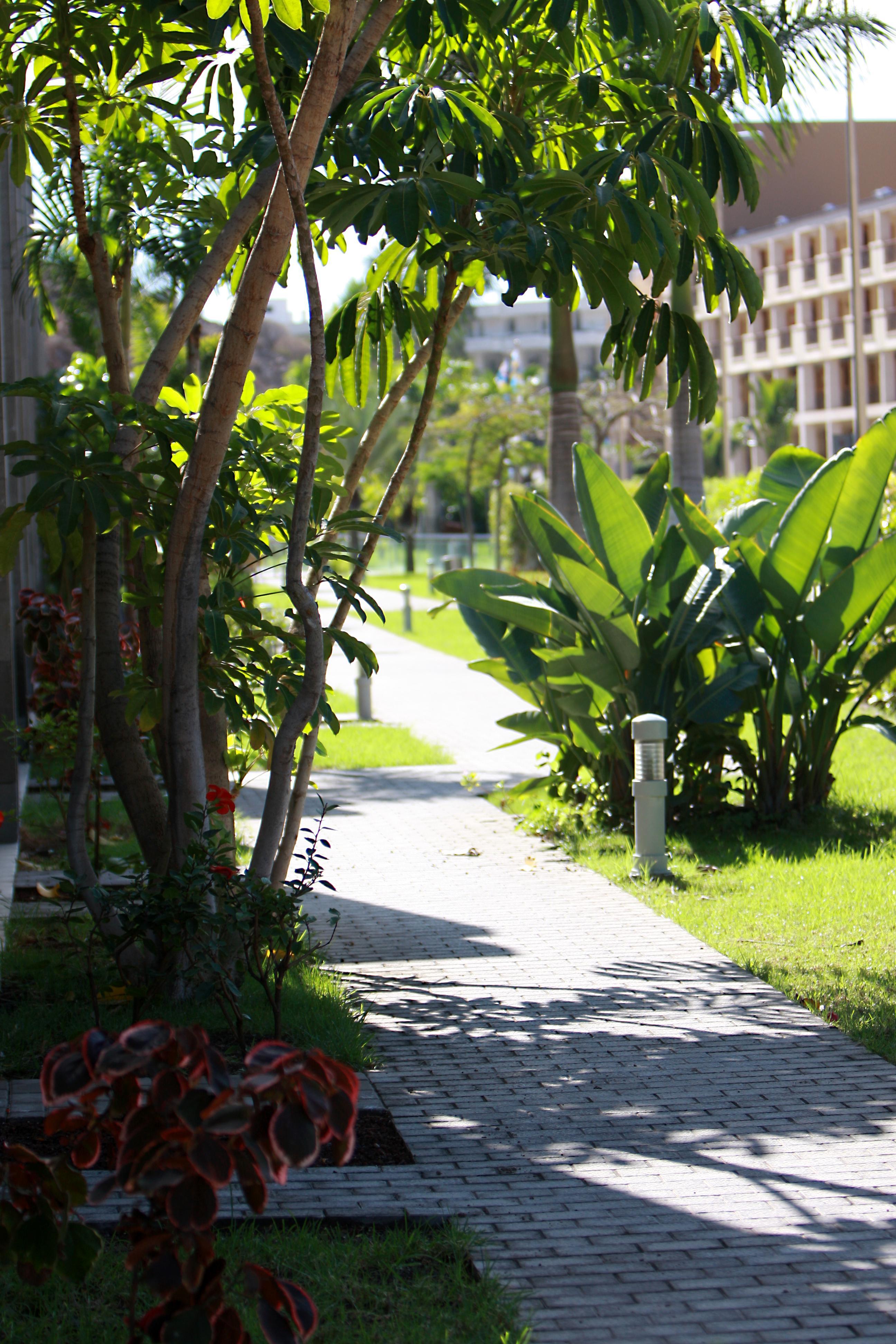 Hotel Livvo Costa Taurito & Aquapark (Adults Only) Kültér fotó
